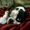 user2908236183823 - @sharonfair4 - TikTok