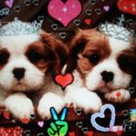 sharon - @sharon.faraci2006 - Instagram
