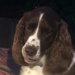 Sharon Farrow - @sharonefarrow1968 - Instagram
