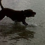 Sharon Farrow - @sharon_farrow - Instagram