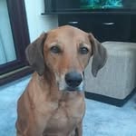 Sharon Farrow - @sharonfarrow17 - Instagram