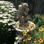 Sharon Farwell Birdwell - @sharonbirdwell - Instagram