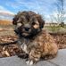 Sharon Mundy - Facebook