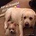 Sharron Featherstone - Facebook