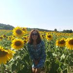 Sharon Beasley Feld - @sharonbeasleyfeld - Instagram