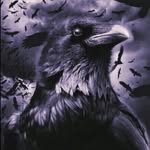 sharon fender - @fallen_angel_raven_69 - Instagram