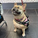 Sharon Fender Peachey - @sharonfenderpeachey - Instagram