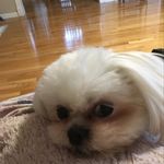 Sharon Ferrell - @sharonferrell19 - Instagram