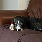 Sharon Ferrell - @rsferrell - Instagram