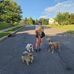 Sharon Fielding - Facebook