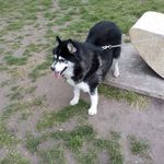 Sharon Fielding - @fielding_sharon - Instagram