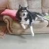 Sharon Fielding - @sharon.fielding5 - TikTok