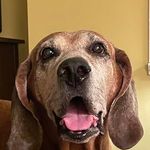 Sharon Stefanovich Fielding - @slfielding22 - Instagram