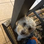 Sharon Gilbert - @sharongilbertwillie - Instagram