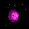 sharonv - @sharonfillbert - TikTok