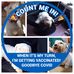 Sharon Bregman Finkelstein - Facebook