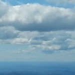 Sharon Fish - @sharon.fish.716 - Instagram