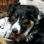 Sharon Fishwick - @sharonfishwick - Instagram