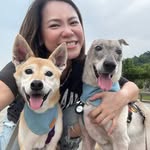 瑜素李 - @sharonfishlee - Instagram