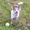 Sharon Flack - @sharon.flack - TikTok