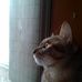 Sharon Fleeman - Facebook