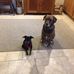 Sharon Flick - Facebook