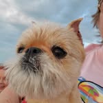 Sharon Flory - @sharon.flory52 - Instagram