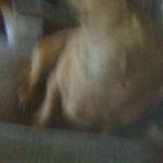 Sharon Fogleman - @foglemansharon - Instagram