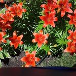 Sharon Folkett - @sharonfolkett - Instagram
