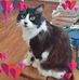Sharon Forbes - Facebook