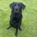 Sharon Fordham - Facebook