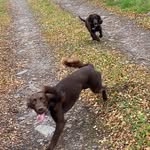 Sharon - @fordyce.sharon - Instagram