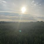 Marie - @sharon.frampton.1 - Instagram