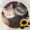 sharonfrances587 - @sharonfrances587 - TikTok