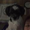 sharonfredrick07 - @sharonfredrick07 - TikTok