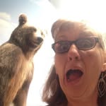 Sharon Hollander Freese - @sharonhollanderfreese - Instagram