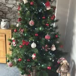Sharon Friel - @sfriel77 - Instagram