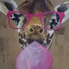 Sharon Friel - @sharon.friel8 - TikTok