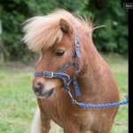 Sharon Gale - @sharon.gale2 - Instagram