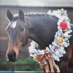 Sharon Gale - @sharongale84 - Instagram