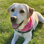 Sharon Gale - @sdorr27 - Instagram