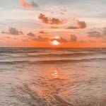 Sharon gallo - @sharongallo23 - Instagram