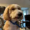 PIA 77! - @sharongalloway449 - TikTok