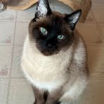 Sharon Galloway - Facebook