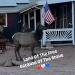 Sharon Galloway - @sharon.galloway.35380 - Instagram