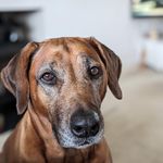 Sharon Ganney - @sharon_ganney - Instagram