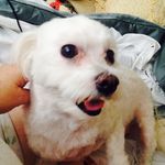 Sharon Gannon - @sharon.gannon.75 - Instagram