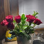 Sharon Gantt - @gantt_sharon - Instagram