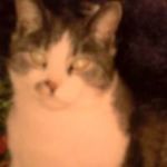 Sharon Garrity - @garritysharon - Instagram