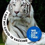 Sharon Garrity - @garrity4936 - Instagram